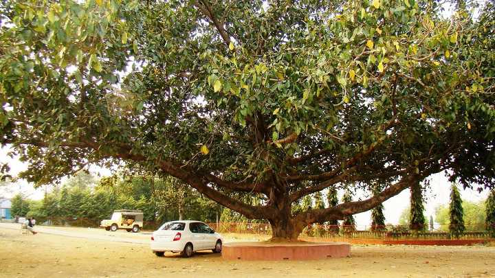 biharinath hills where you can find unspoiled nature and religious vibes together