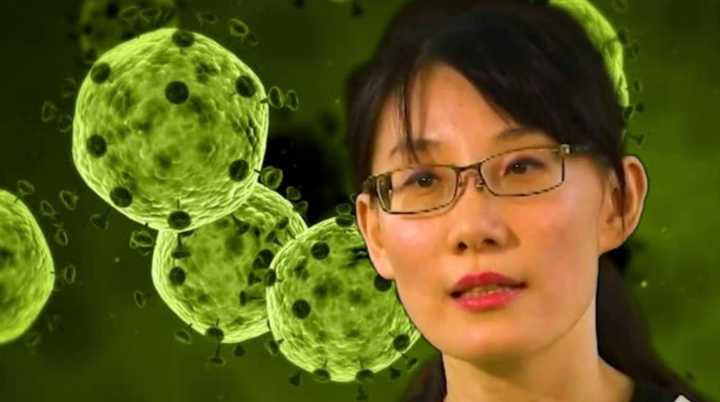 coronavirus intentionally released chinese govt leading misinformation campaign says chinese virologist