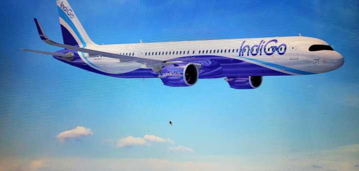 indigo handed over the passenger to the security guards