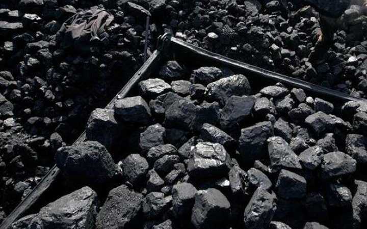 first arrest in coal smuggling case