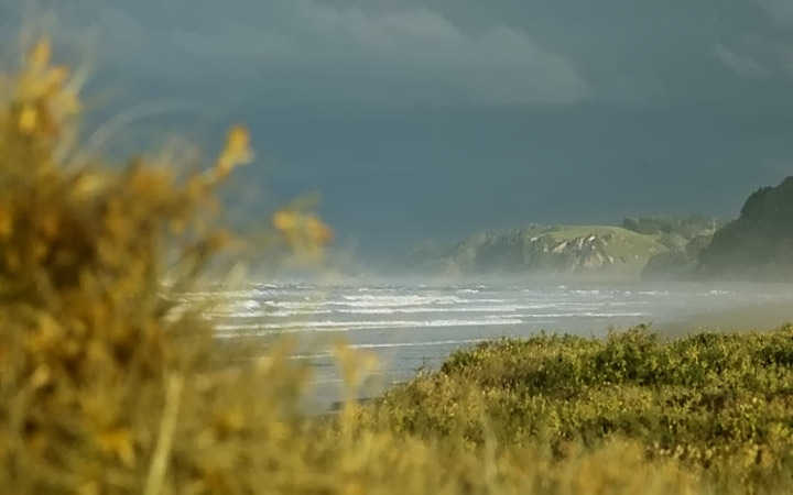 powerful earthquakes struck off the coast of new zealand