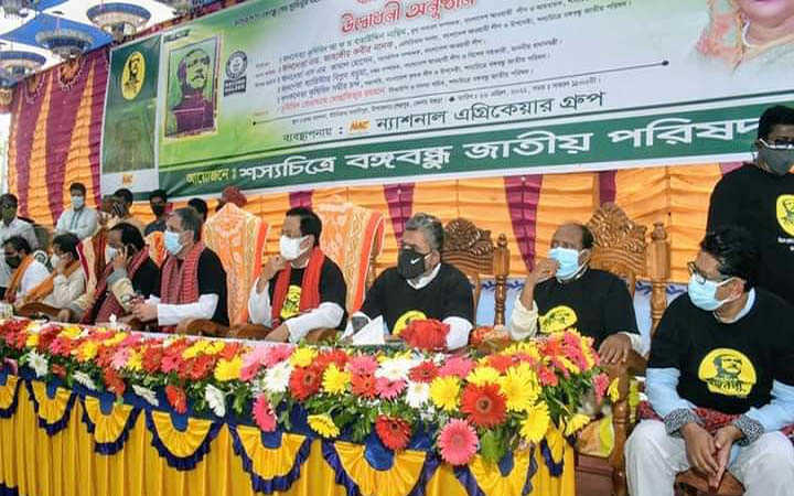 inauguration of the paddy harvesting festival of bangabandhu in grain picture at bangladesh