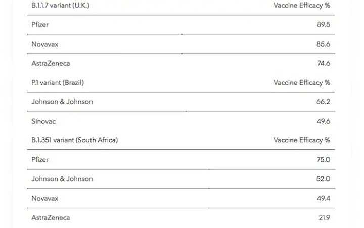 the corona vaccine is able to control mortality the study says