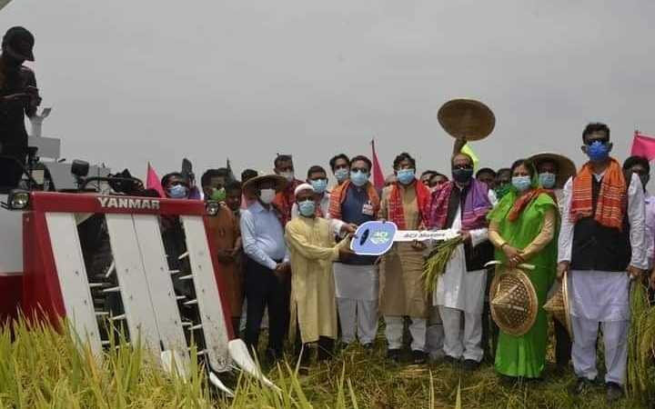 if paddy can be successfully brought home there will be no food crisis said dr muhammad abdur razzaque